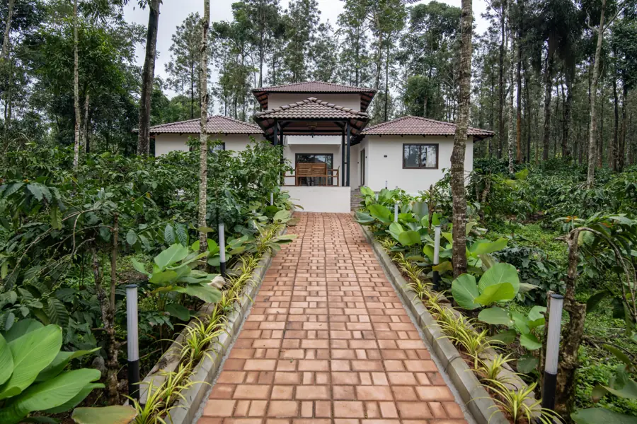Brick path through the garden to the house by day